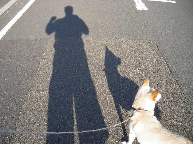 shadow-and-his-dog.jpg